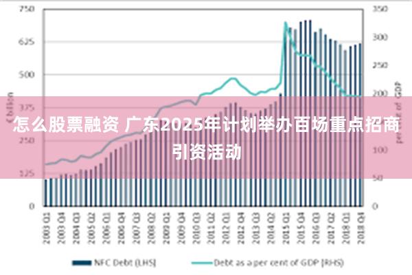 怎么股票融资 广东2025年计划举办百场重点招商引资活动
