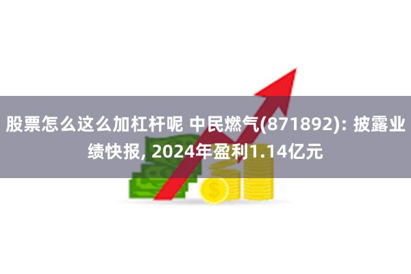 股票怎么这么加杠杆呢 中民燃气(871892): 披露业绩快报, 2024年盈利1.14亿元