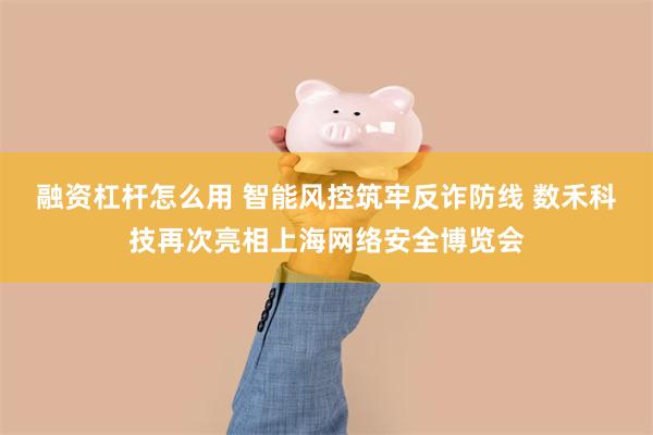融资杠杆怎么用 智能风控筑牢反诈防线 数禾科技再次亮相上海网络安全博览会