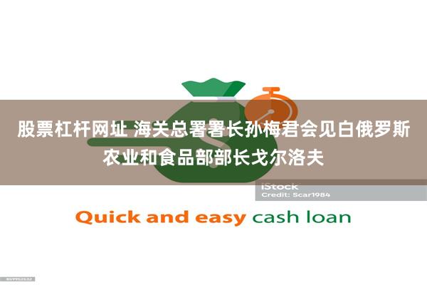 股票杠杆网址 海关总署署长孙梅君会见白俄罗斯农业和食品部部长戈尔洛夫