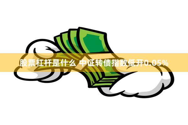 股票杠杆是什么 中证转债指数低开0.05%