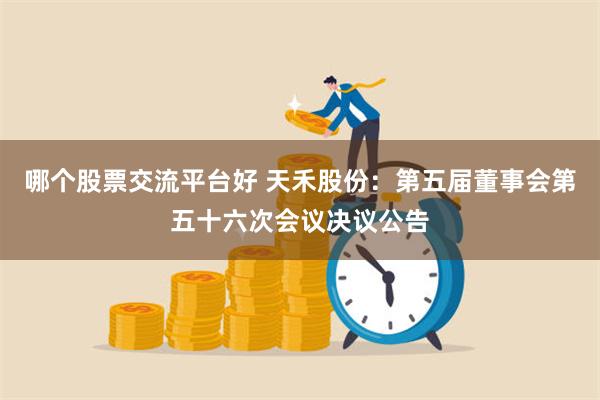 哪个股票交流平台好 天禾股份：第五届董事会第五十六次会议决议公告